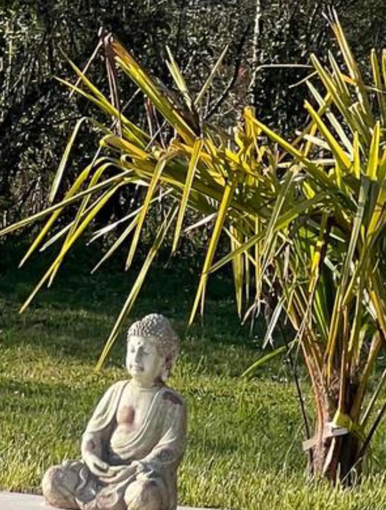 Chambre Au Jardin Tente De Charme Eguzon-Chantome Exteriör bild